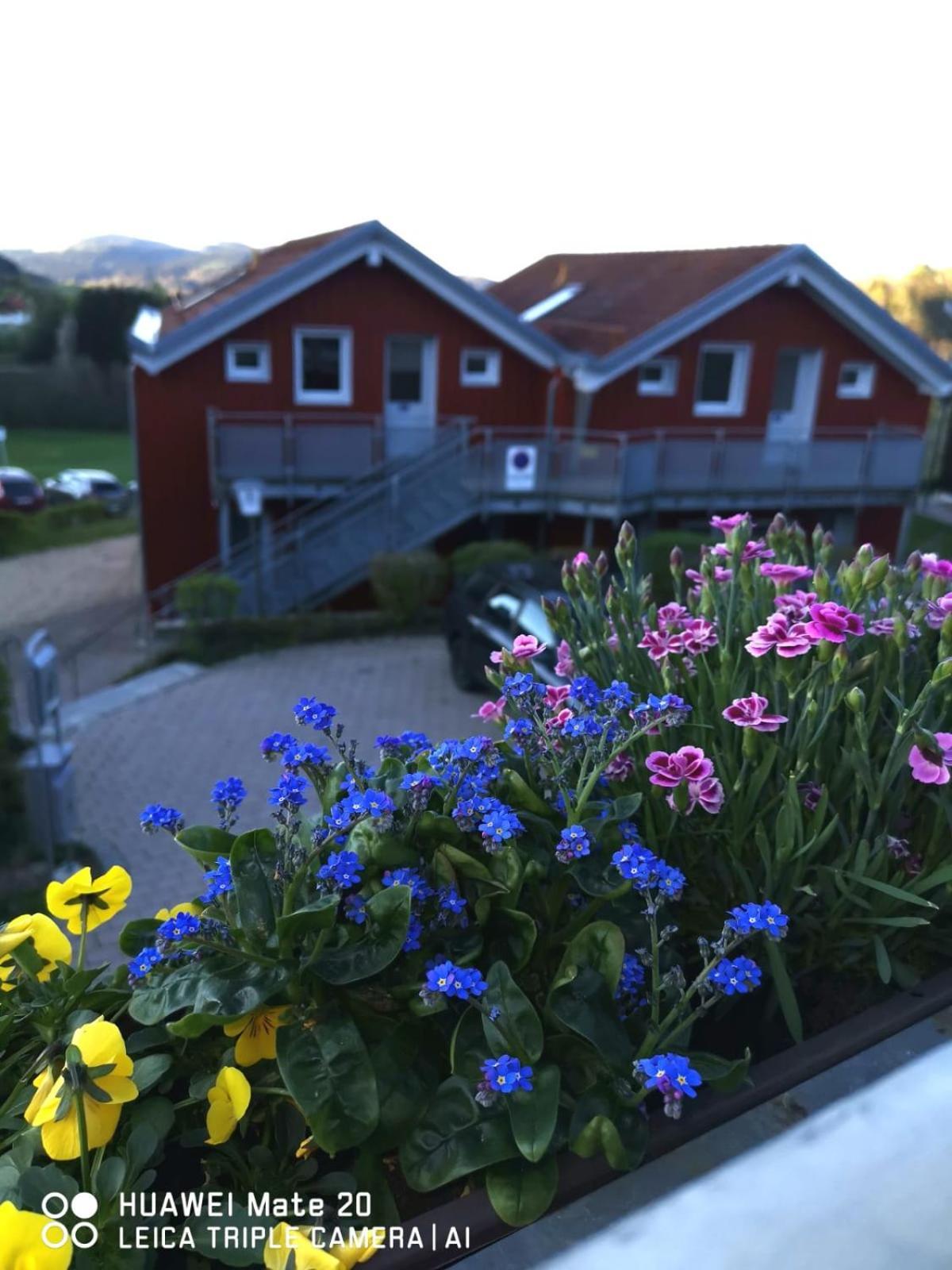 Village Hotel Bayerischer Wald Нойкирхен Экстерьер фото
