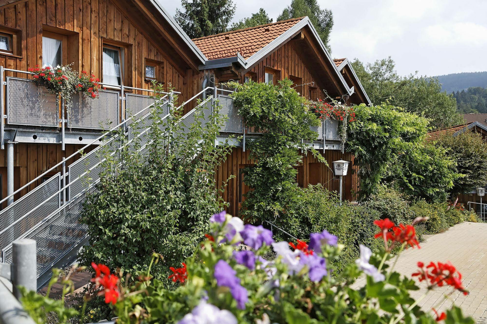 Village Hotel Bayerischer Wald Нойкирхен Экстерьер фото